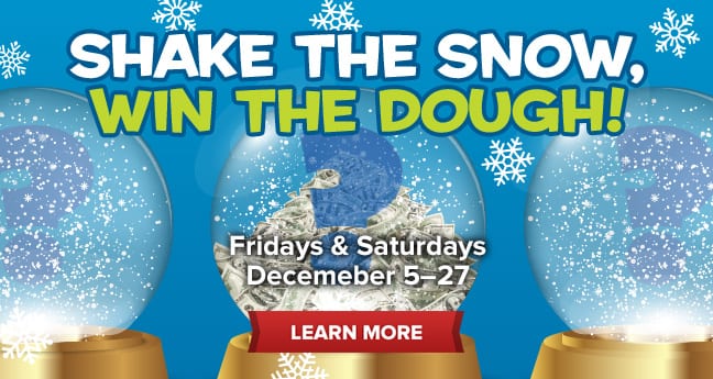 Shake The Snow, Win The Dough!